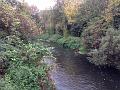 2015-1103-1240_River_Wandle_12C